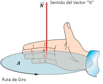 Vector Normal